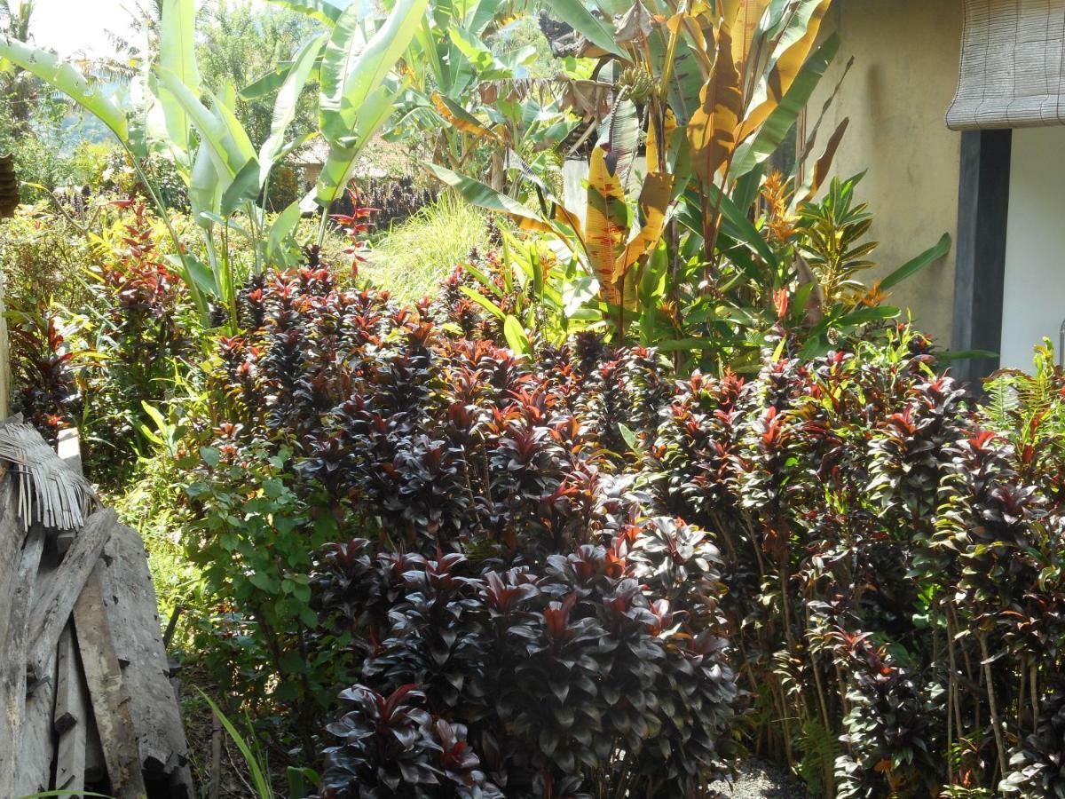 The Bukit Artha Bed and Breakfast Sidemen  Εξωτερικό φωτογραφία